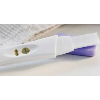  Pregnency Test